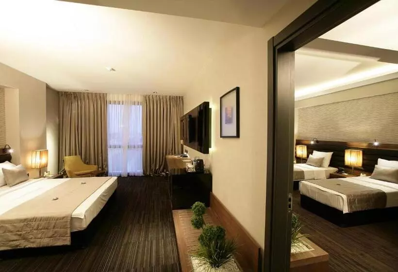 Suite Familiar, Rys