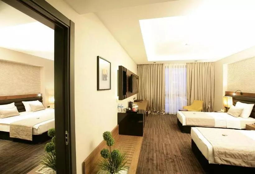 Suite Familiar, Rys