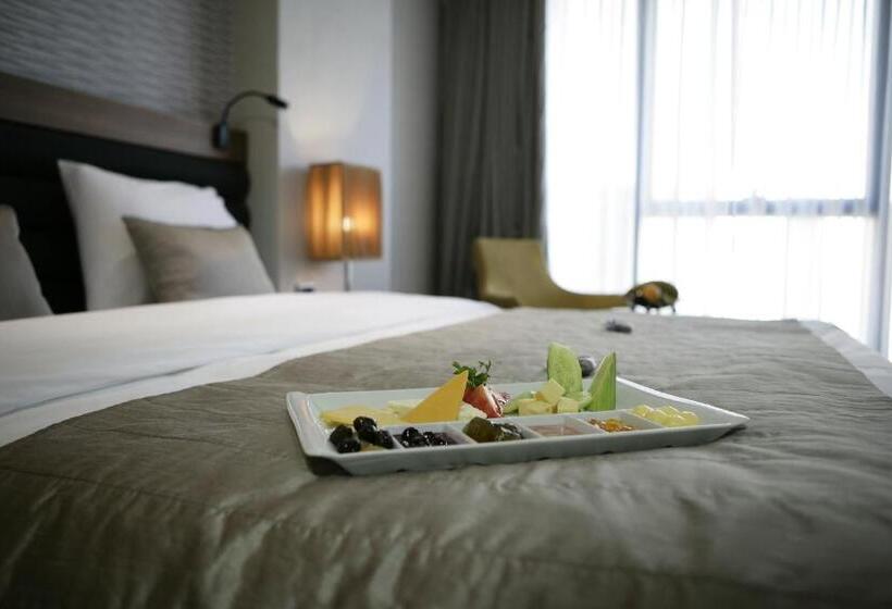 标准单人间, Rys