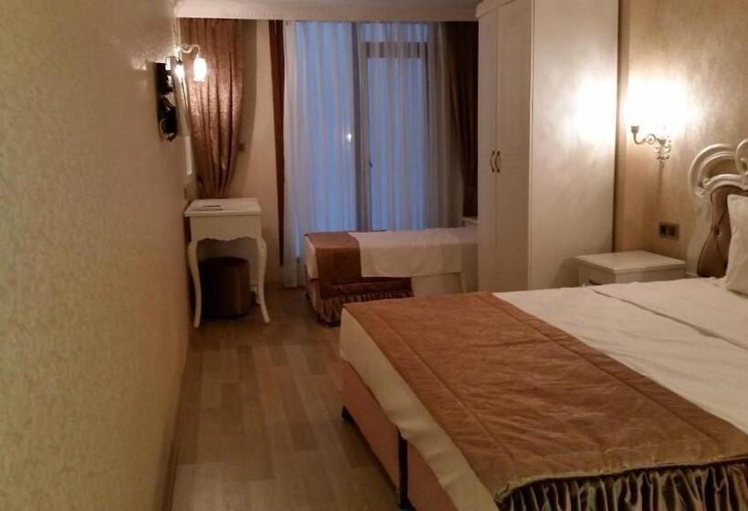 غرفة قياسية ثلاثية, Endican Sultanahmet