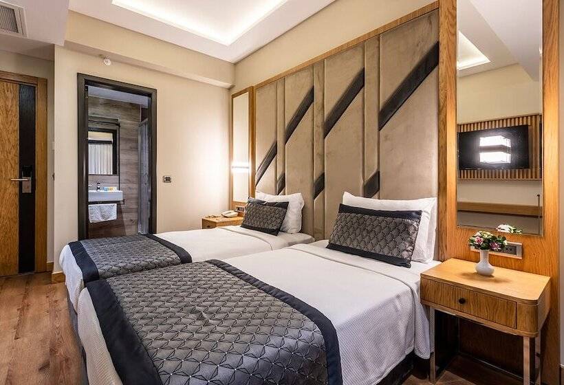 غرفة إقتصادية, Endican Sultanahmet