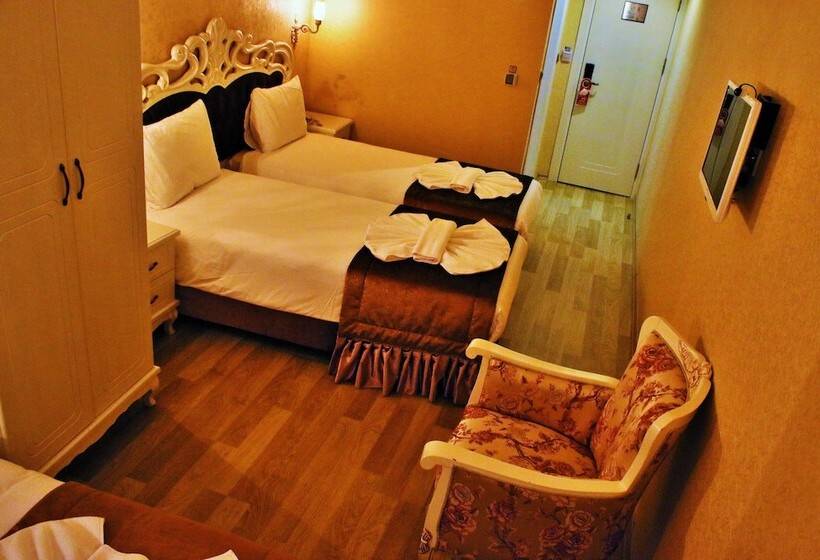 غرفة قياسية ثلاثية, Endican Sultanahmet