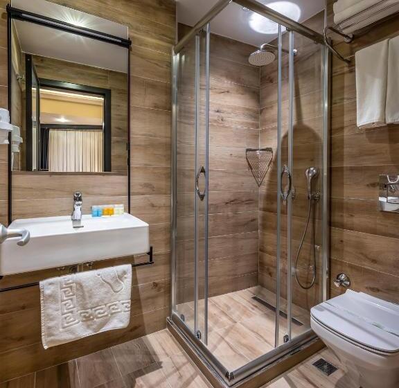 غرفة قياسية, Endican Sultanahmet