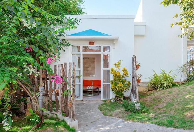 3 Bedroom Suite, Suncosy Central