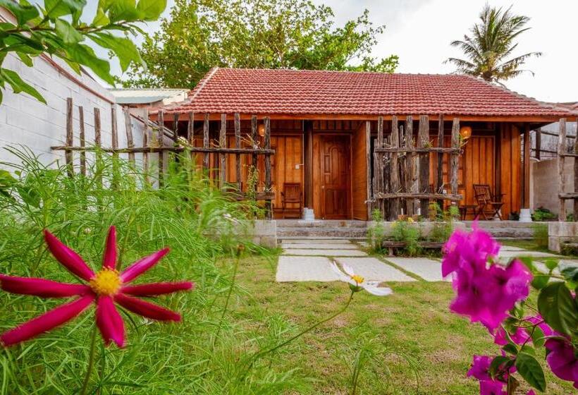 خانه 1 خوابه, Suncosy Central