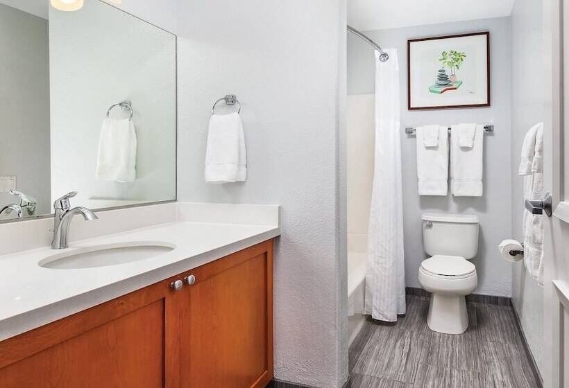 ２ベッドルームデラックスアパートメント, Worldmark Palm Springs