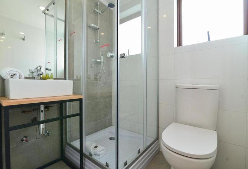 شقة غرفة واحدة مزودة بتراس, Mawün Hotel Pucón