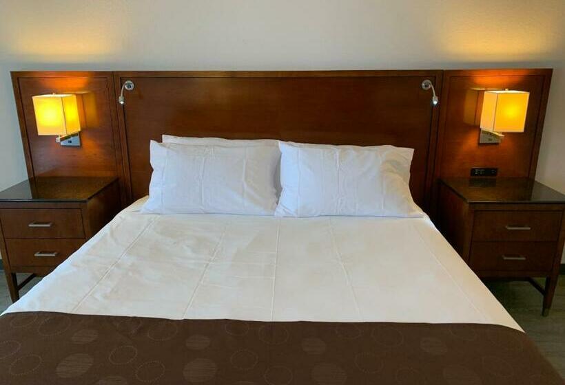 غرفة قياسية سرير كينج, The Branson Welcome Inn   Country Blvd