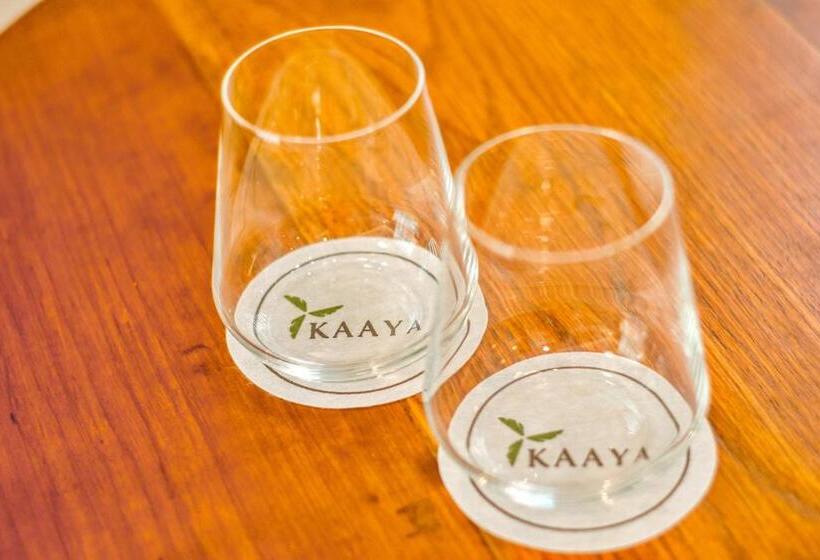 سوییت لوکس, Kaaya Resort North Boracay