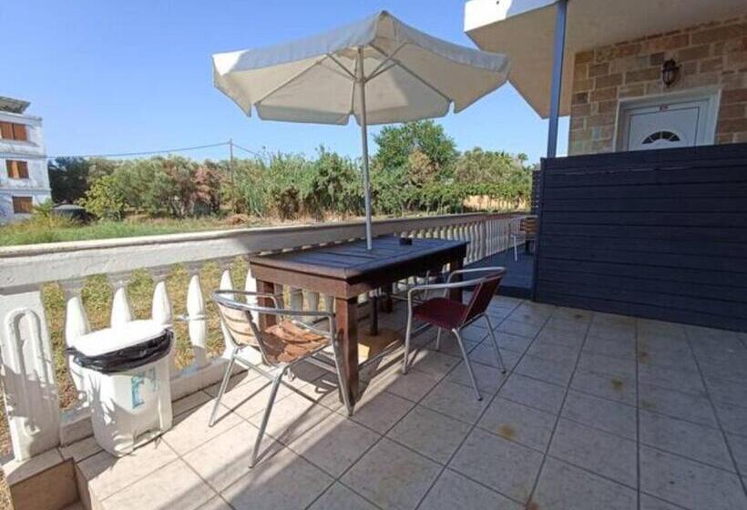 استودیوی استاندارد, Eugenia