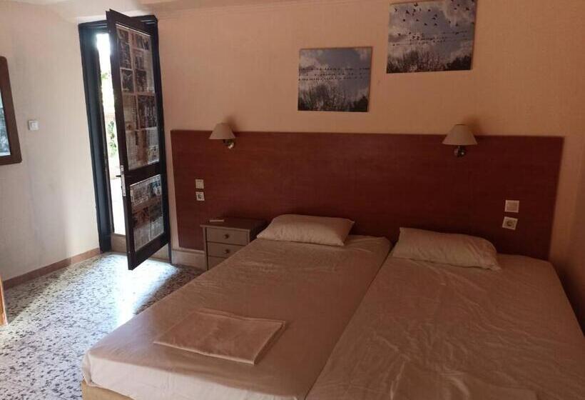 اتاق اکونومی, Eugenia