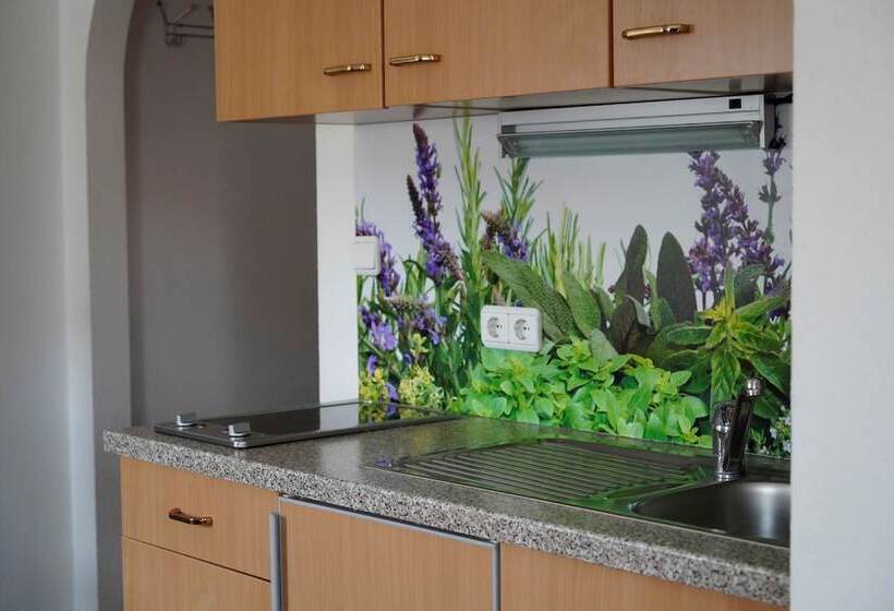 Апартаменты Комфорт 1 Спальня, Weingut Martin Blass