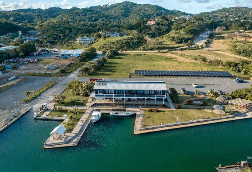 استودیوی استاندارد با چشم‌انداز دریا, Barefoot Cay Resort