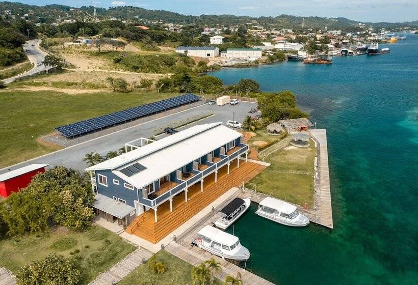 استودیوی استاندارد با چشمانداز دریا, Barefoot Cay Resort