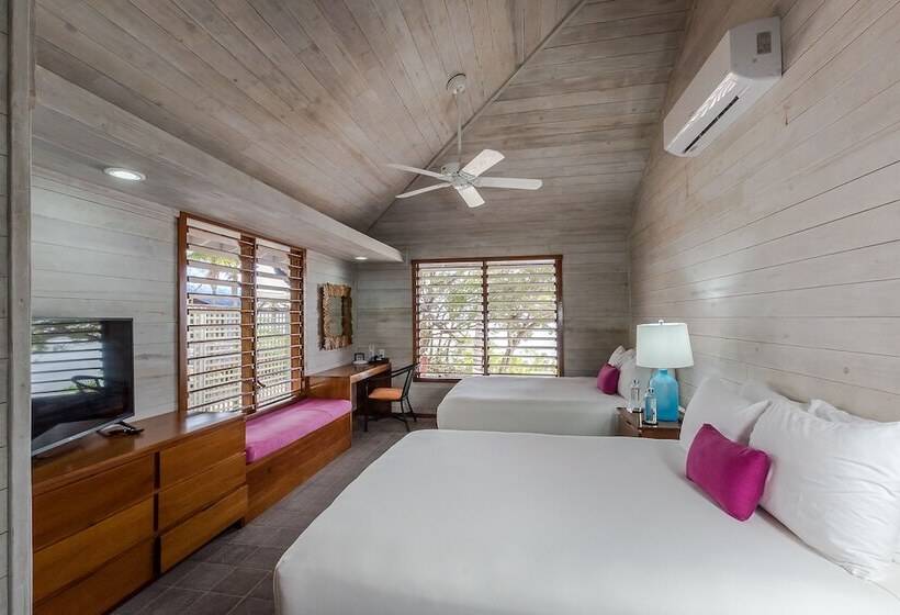ویلای 2 خوابه با چشم‌انداز دریا, Barefoot Cay Resort