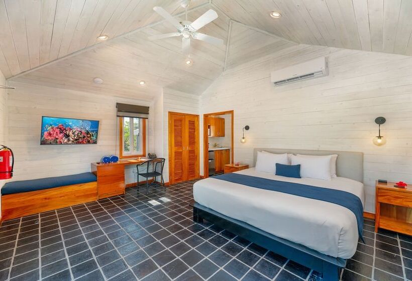 ویلای لوکس 1 خوابه, Barefoot Cay Resort