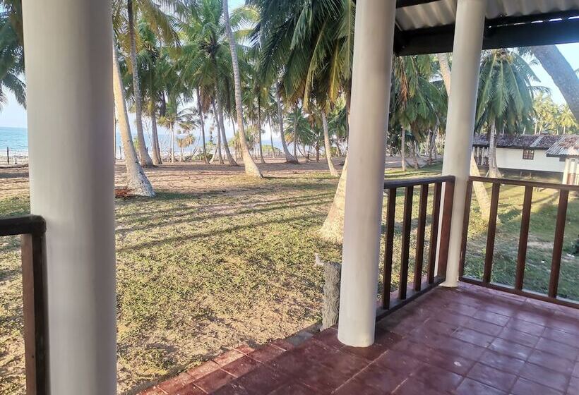 ダブルベッドスタンダードルーム, Helios Beach Resort