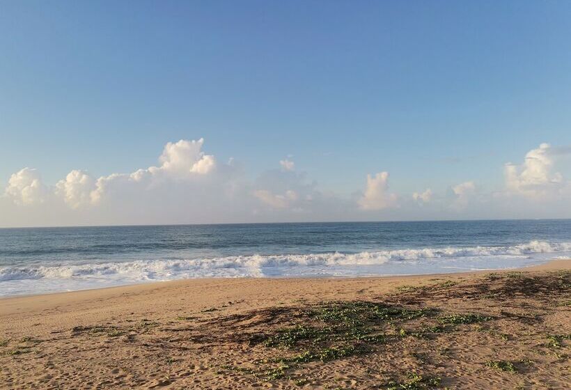 デラックスバンガロー, Helios Beach Resort