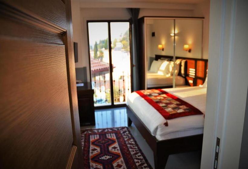 Люкс, Ayasoluk Hotel & Restaurant