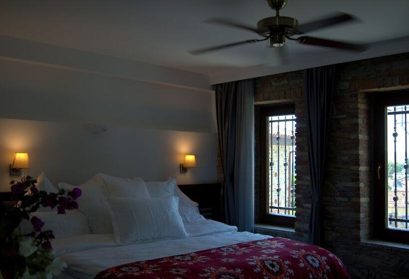 Номер Стандарт, Ayasoluk Hotel & Restaurant