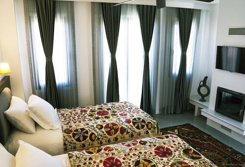 Номер Стандарт, Ayasoluk Hotel & Restaurant