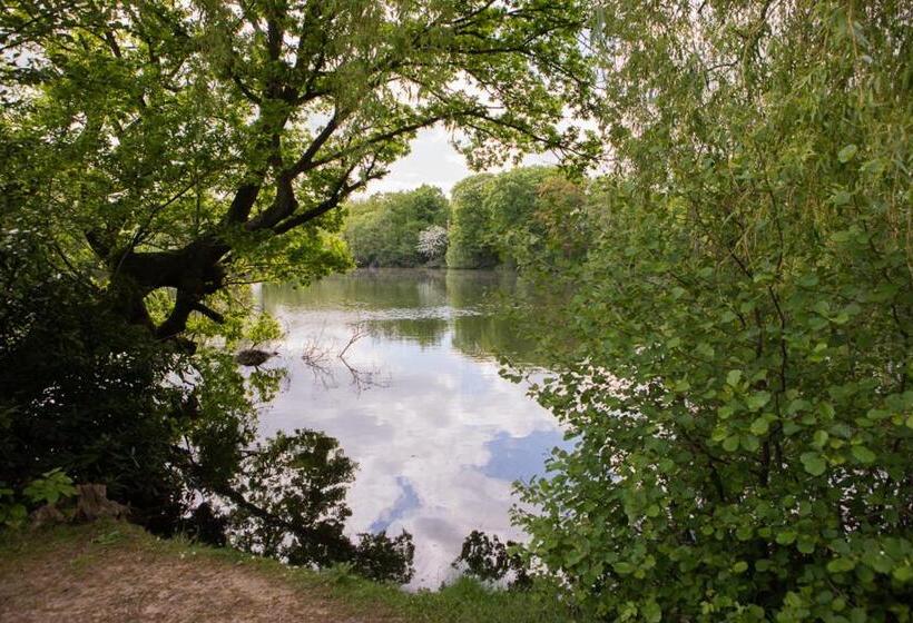 غرفة قياسية مطلّة علي البحيرة, Inn On The Lake