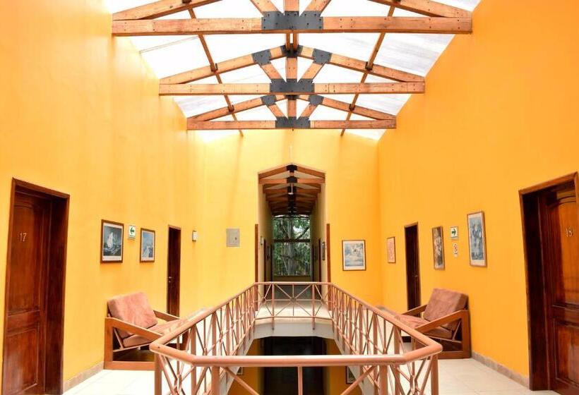 اتاق سوپریور, Park