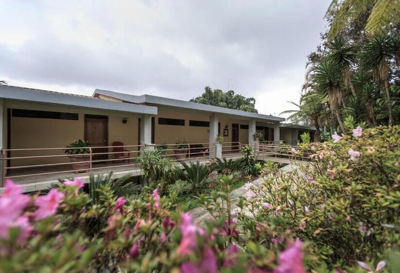 سوییت جونیور, Park