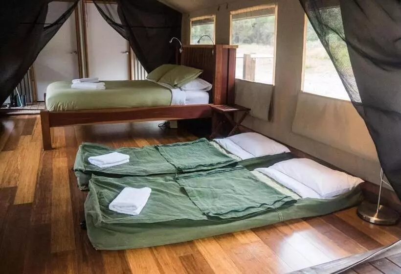 家族用バンガロー, Tanja Lagoon Camp