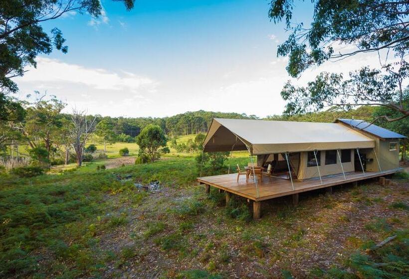 高级洋房, Tanja Lagoon Camp