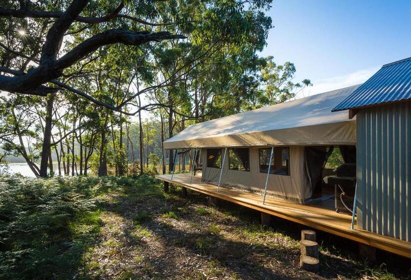 Бунгало Superior, Tanja Lagoon Camp