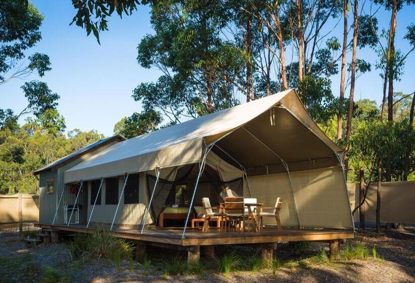 Бунгало Стандарт, Tanja Lagoon Camp