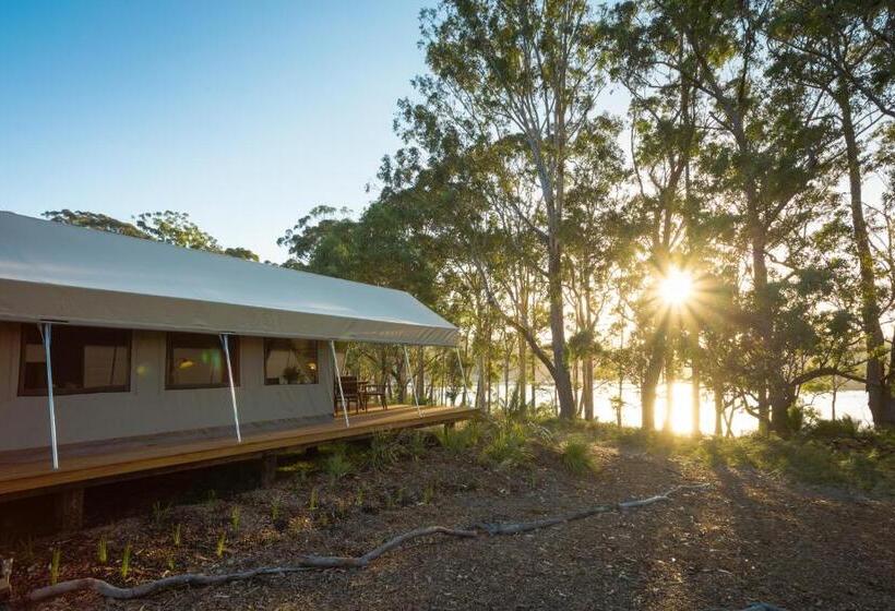 Бунгало Deluxe, Tanja Lagoon Camp