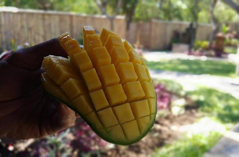 חדר דלוקס עם נוף להרים, Mango Tree Inn