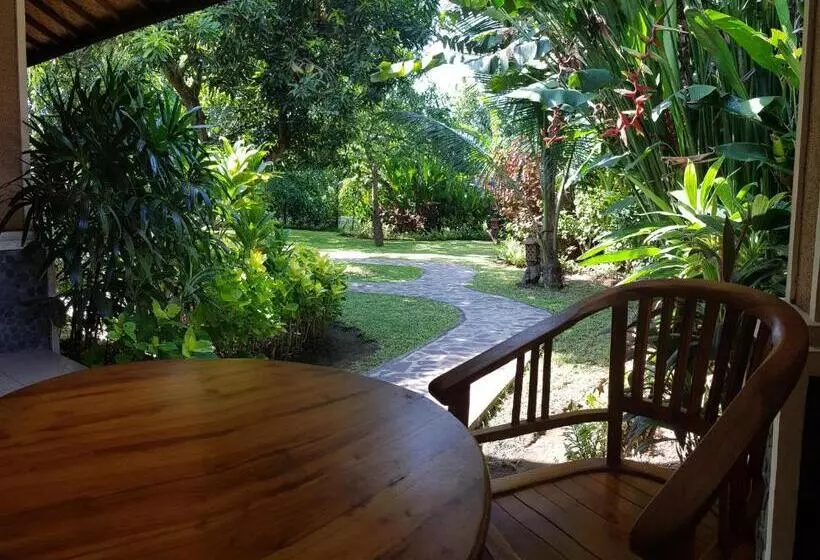 اتاق استاندارد با تراس, Mango Tree Inn