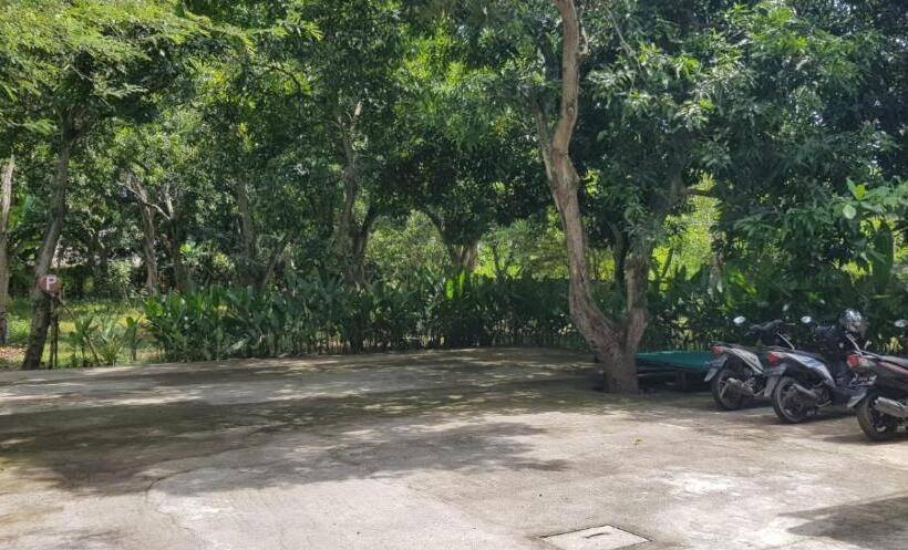 חדר סטנדרט עם טרסה, Mango Tree Inn