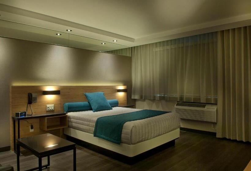 Четырехместный Номер Superior, Motel Ideal Sterose