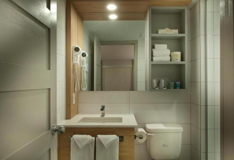 スタンダードルーム, Motel Ideal Sterose