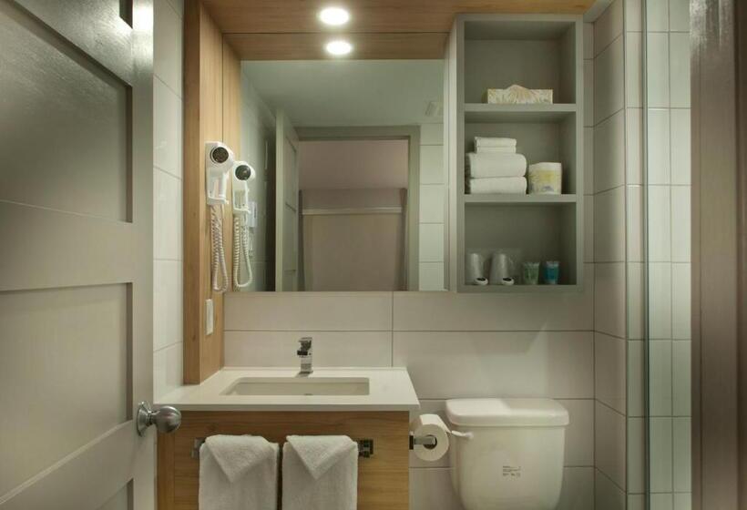 スタンダード４人部屋, Motel Ideal Sterose