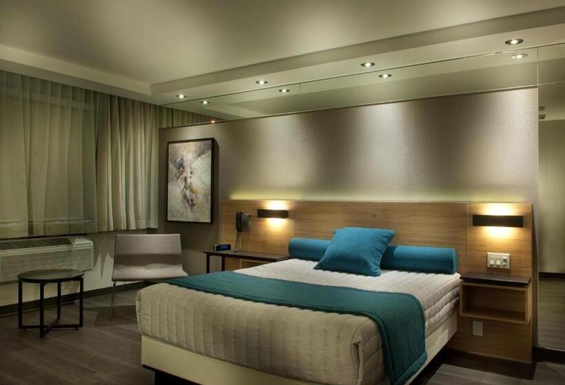 デラックスルーム, Motel Ideal Sterose