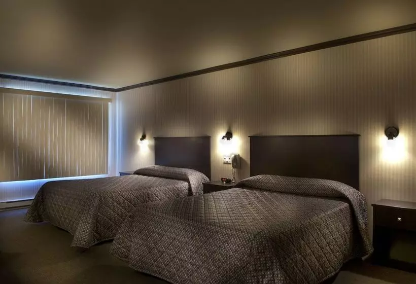 エコノミールーム, Motel Ideal Sterose