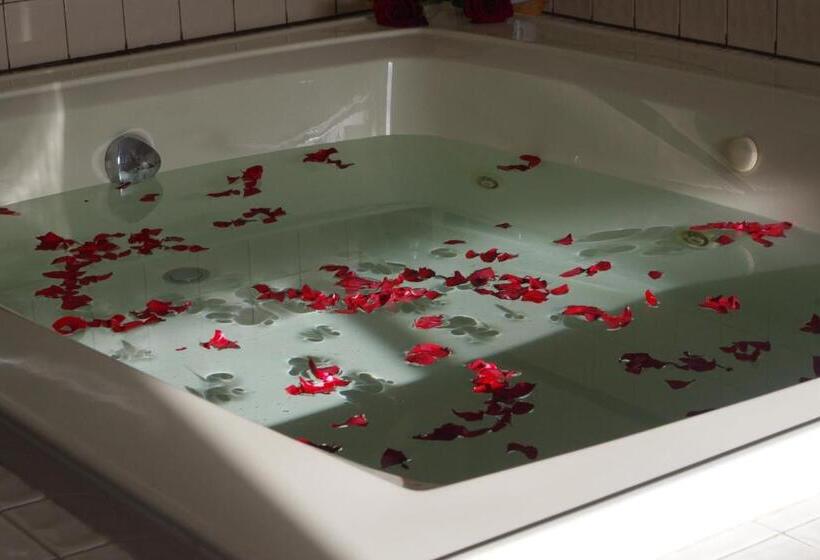 Люкс с гидромассажем, Selby Motel