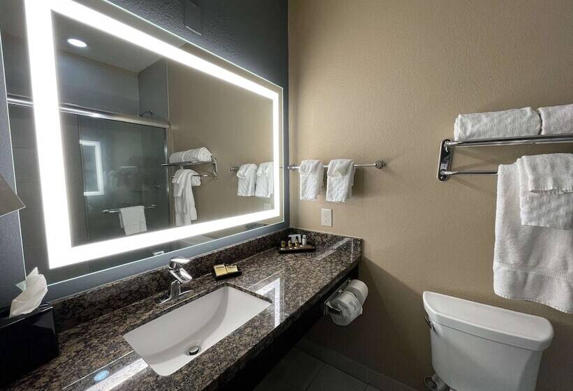 スイート, Best Western Plus Lake Jackson Inn & Suites