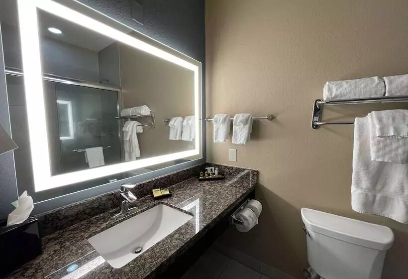 スイート, Best Western Plus Lake Jackson Inn & Suites