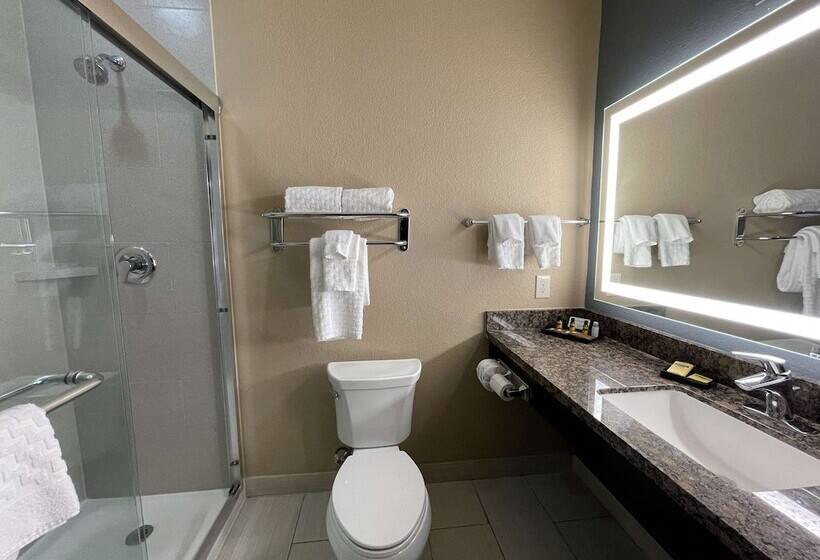 スイート, Best Western Plus Lake Jackson Inn & Suites