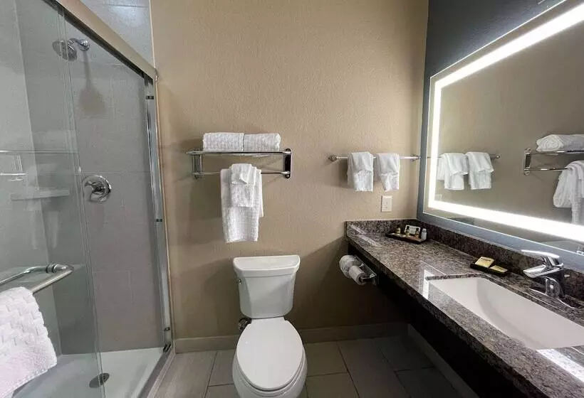 スイート, Best Western Plus Lake Jackson Inn & Suites