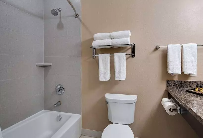 スイート, Best Western Plus Lake Jackson Inn & Suites