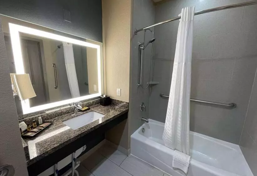 身障者適用スイートルーム, Best Western Plus Lake Jackson Inn & Suites