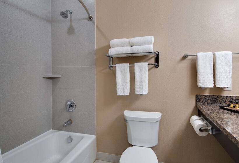 身障者適用スイートルーム, Best Western Plus Lake Jackson Inn & Suites