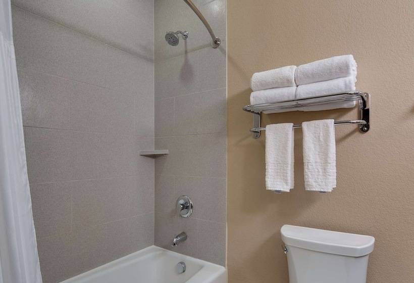 Люкс Адаптированный для Инвалидов, Best Western Plus Lake Jackson Inn & Suites
